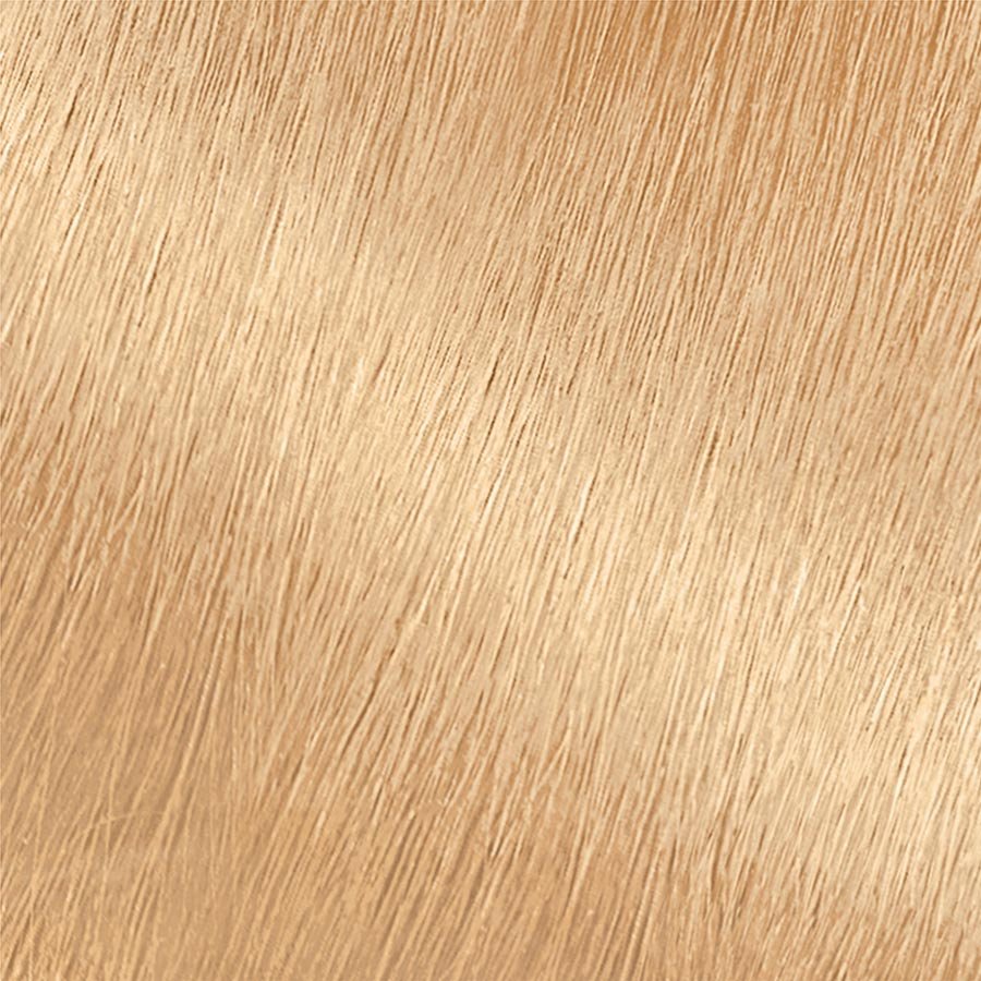 Garnier Nutrisse Ultra Color PL1 - Lightest Platinum Permanent Hair Color for ultra, long-lasting color - lightens up to 7 levels with anti-brass conditioner